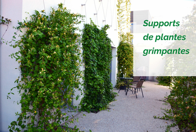 Support Plante Grimpante Bois